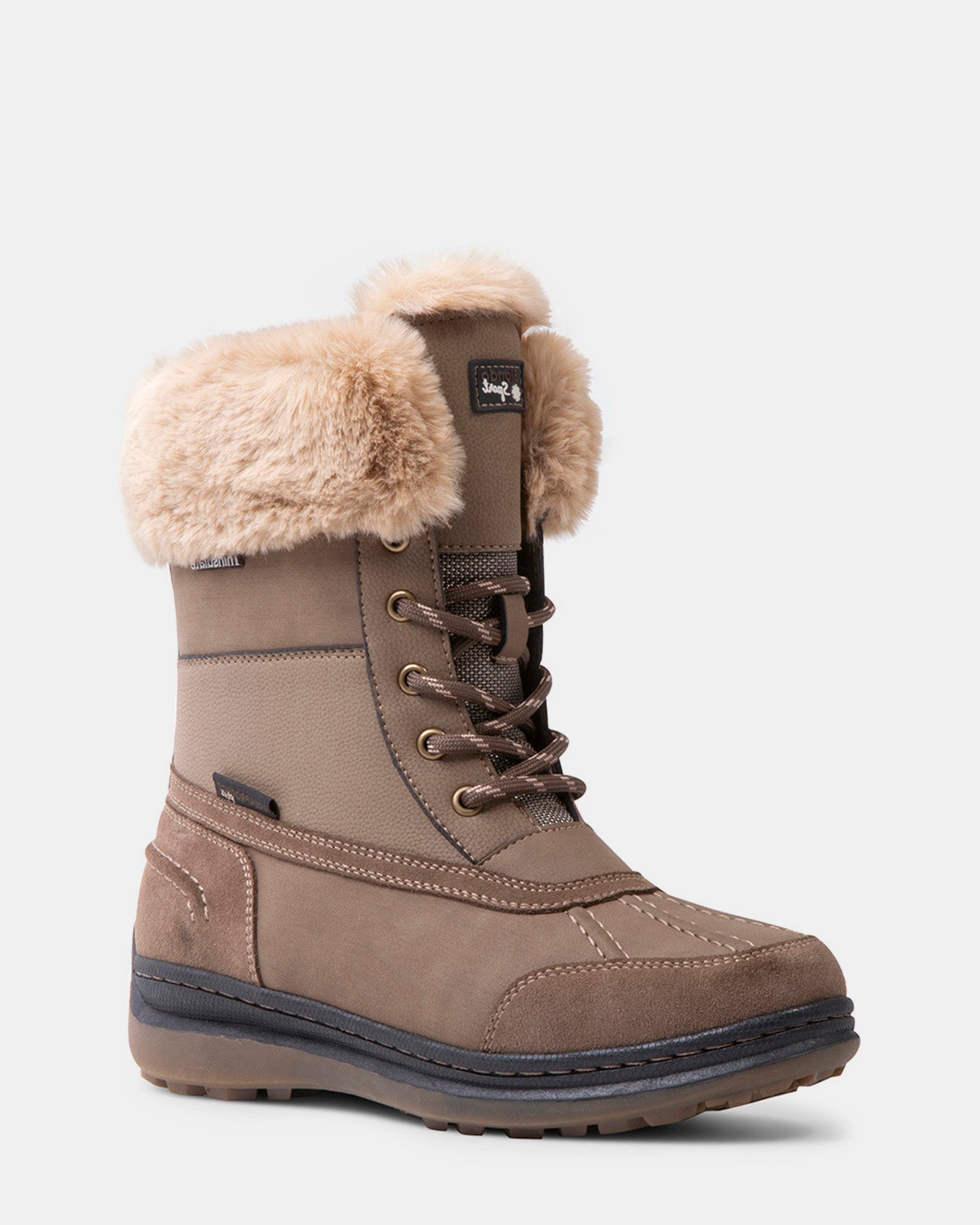 ISELOA Taupe Nubuck Ankle Boots | Women's Designer Boots – Steve