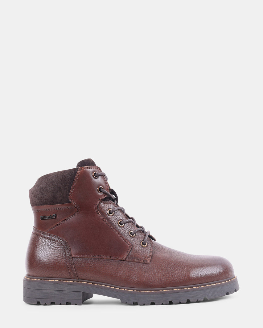 NALDO BROWN LEATHER - Men's Shoes - Steve Madden Canada