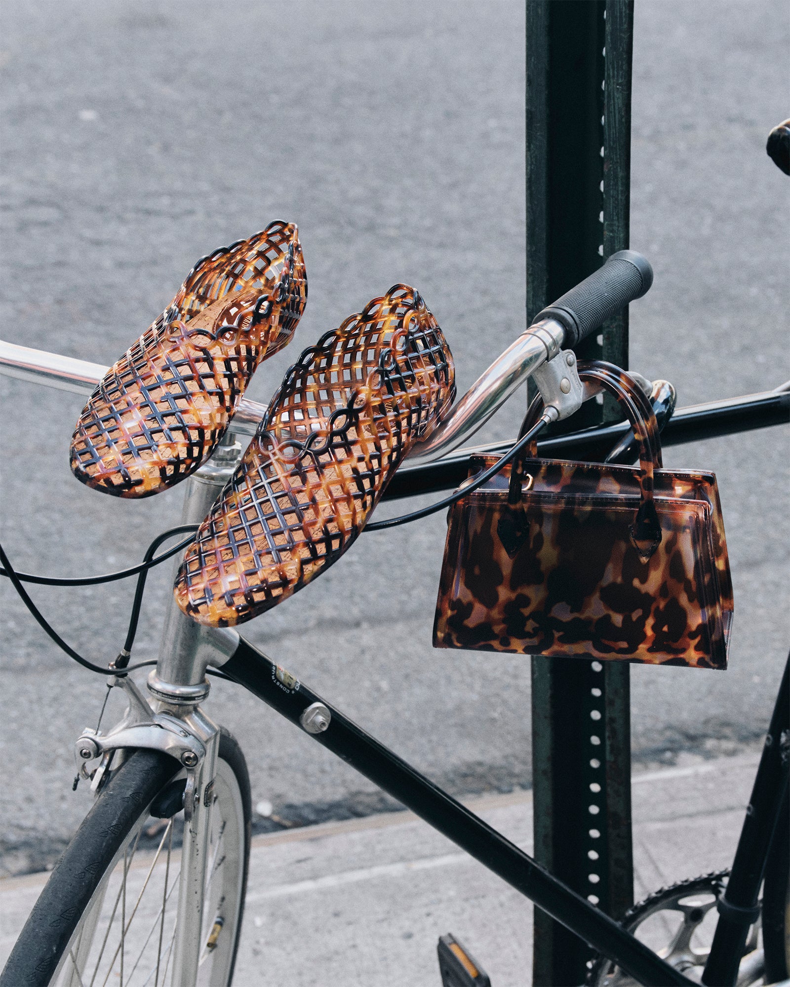 GROVE TORTOISE - Women's Shoes - Steve Madden Canada - view 10