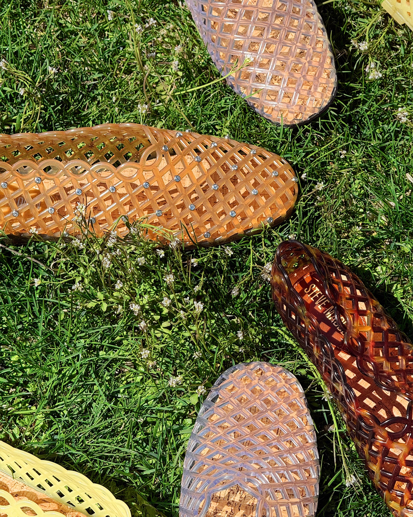 GROVE TORTOISE - Women's Shoes - Steve Madden Canada - view 11