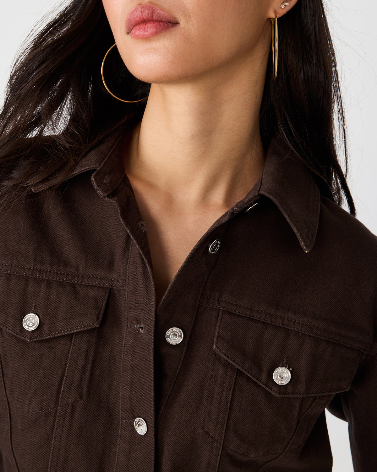 DOVE JACKET ESPRESSO - Clothing - Steve Madden Canada - view 3