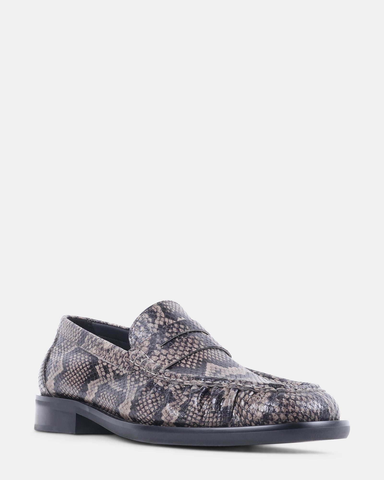 FARO SNAKE - view 2