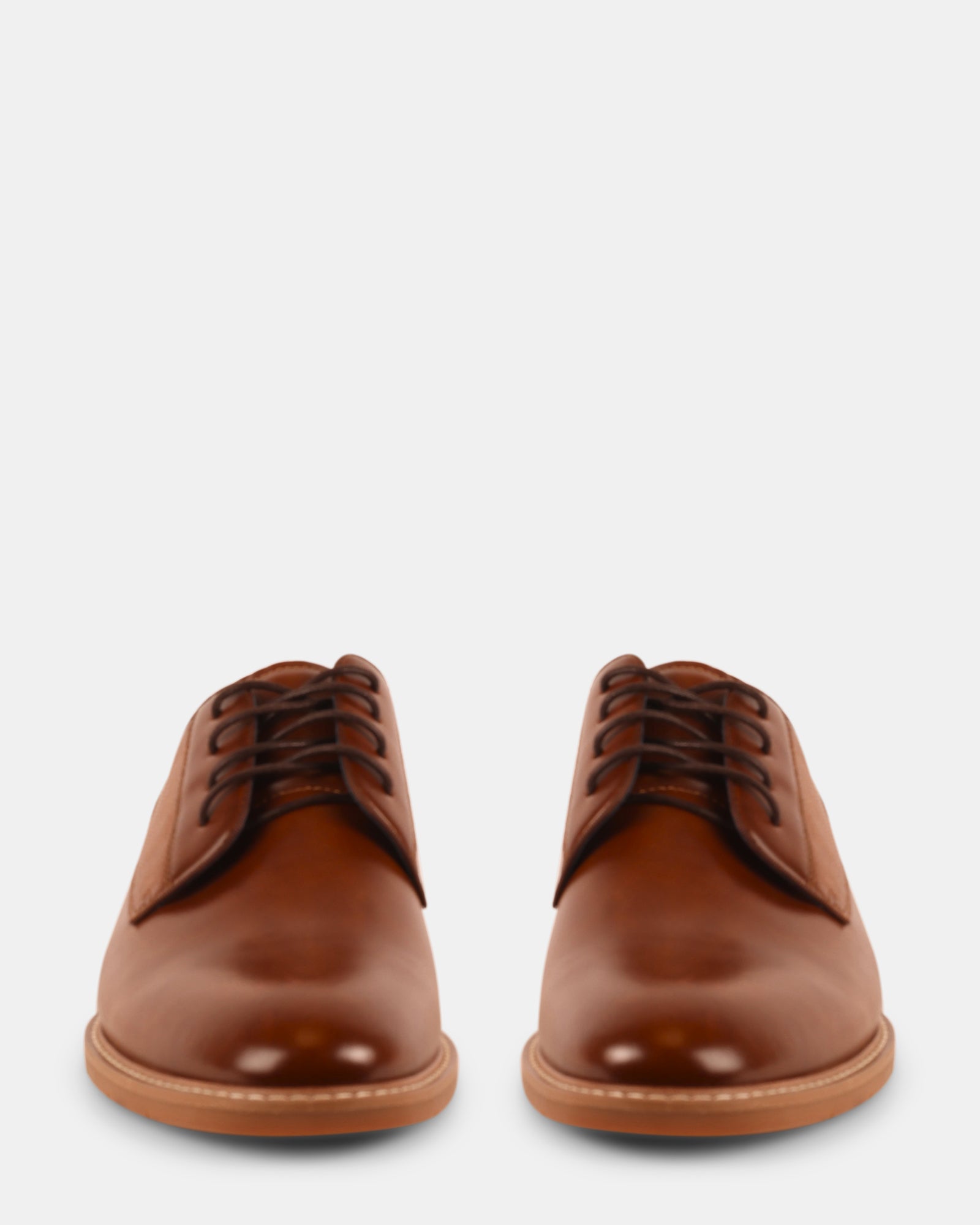 MAKLIN TAN - Men's Shoes - Steve Madden Canada
