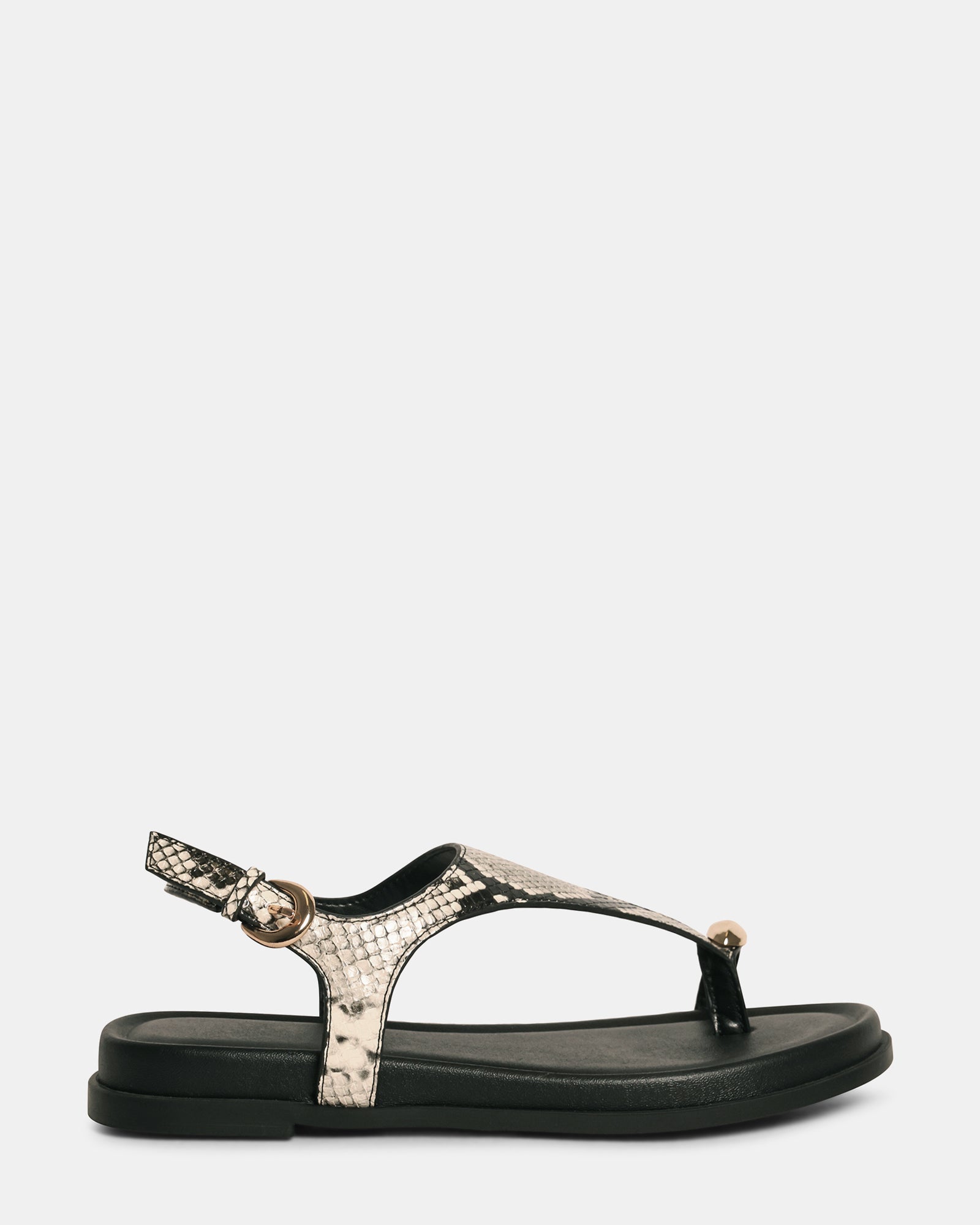 NAUGHTY SNAKE - Women's Shoes - Steve Madden Canada
