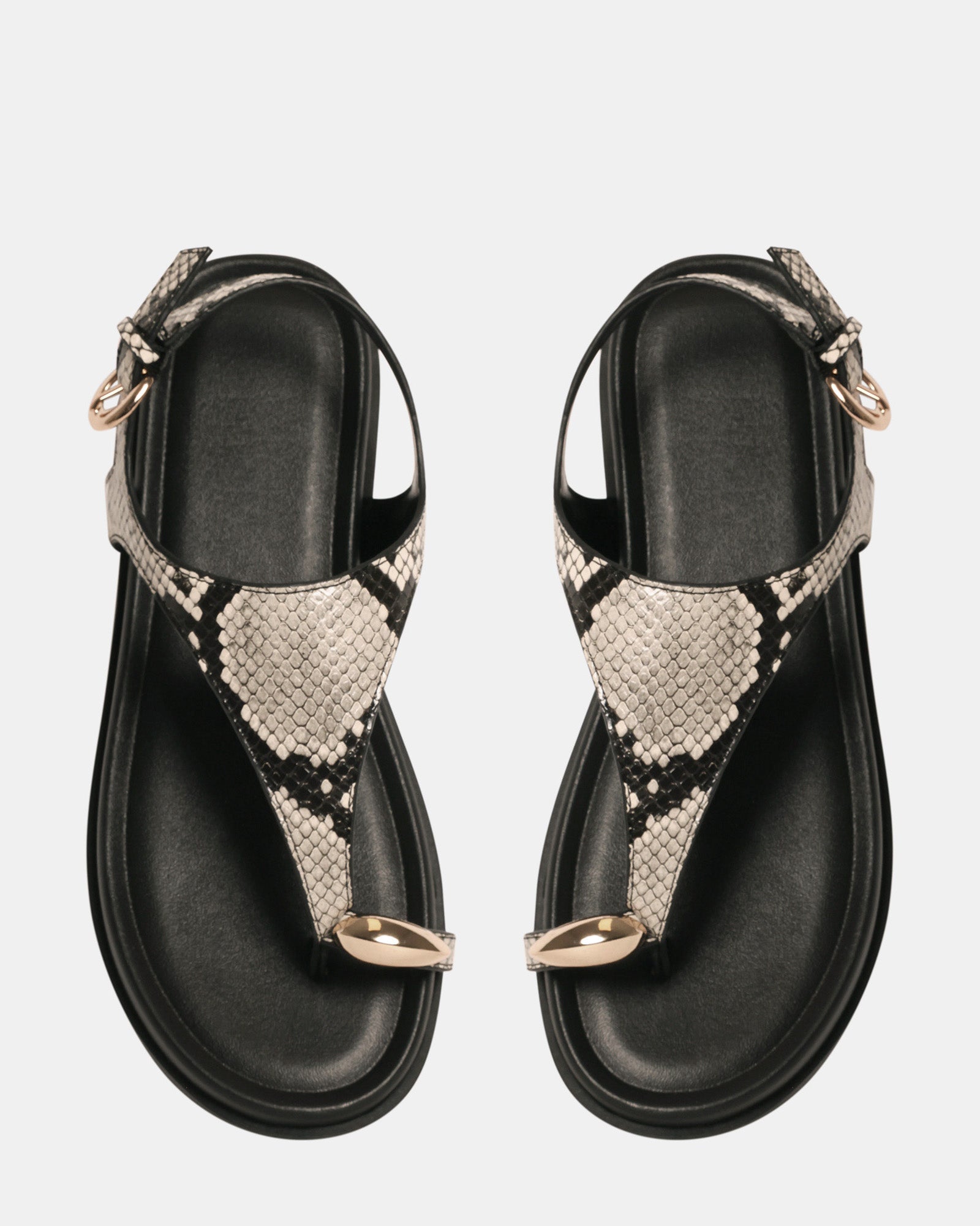 NAUGHTY SNAKE - Women's Shoes - Steve Madden Canada - view 4