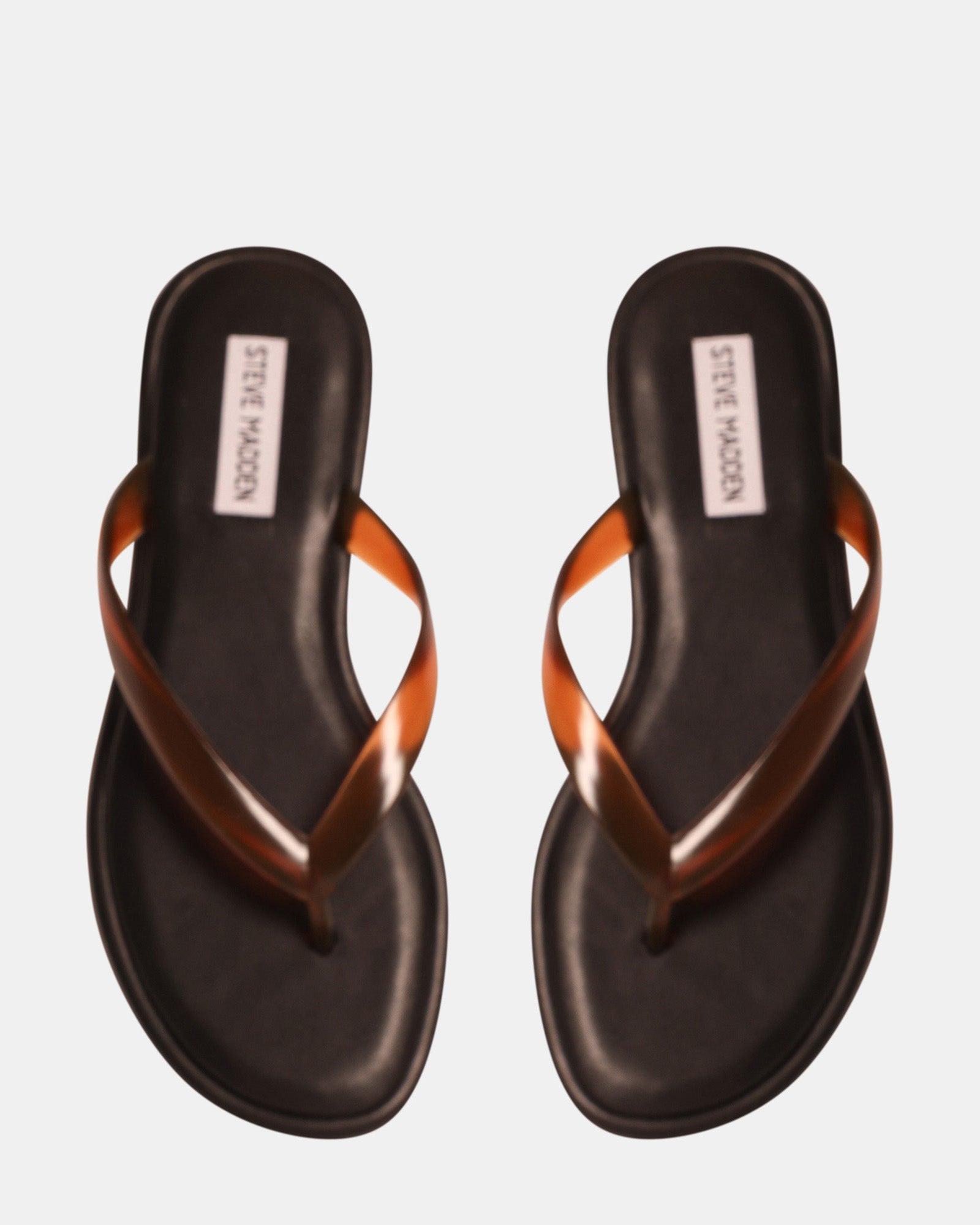 PIANO BROWN - Women's Shoes - Steve Madden Canada - view 4