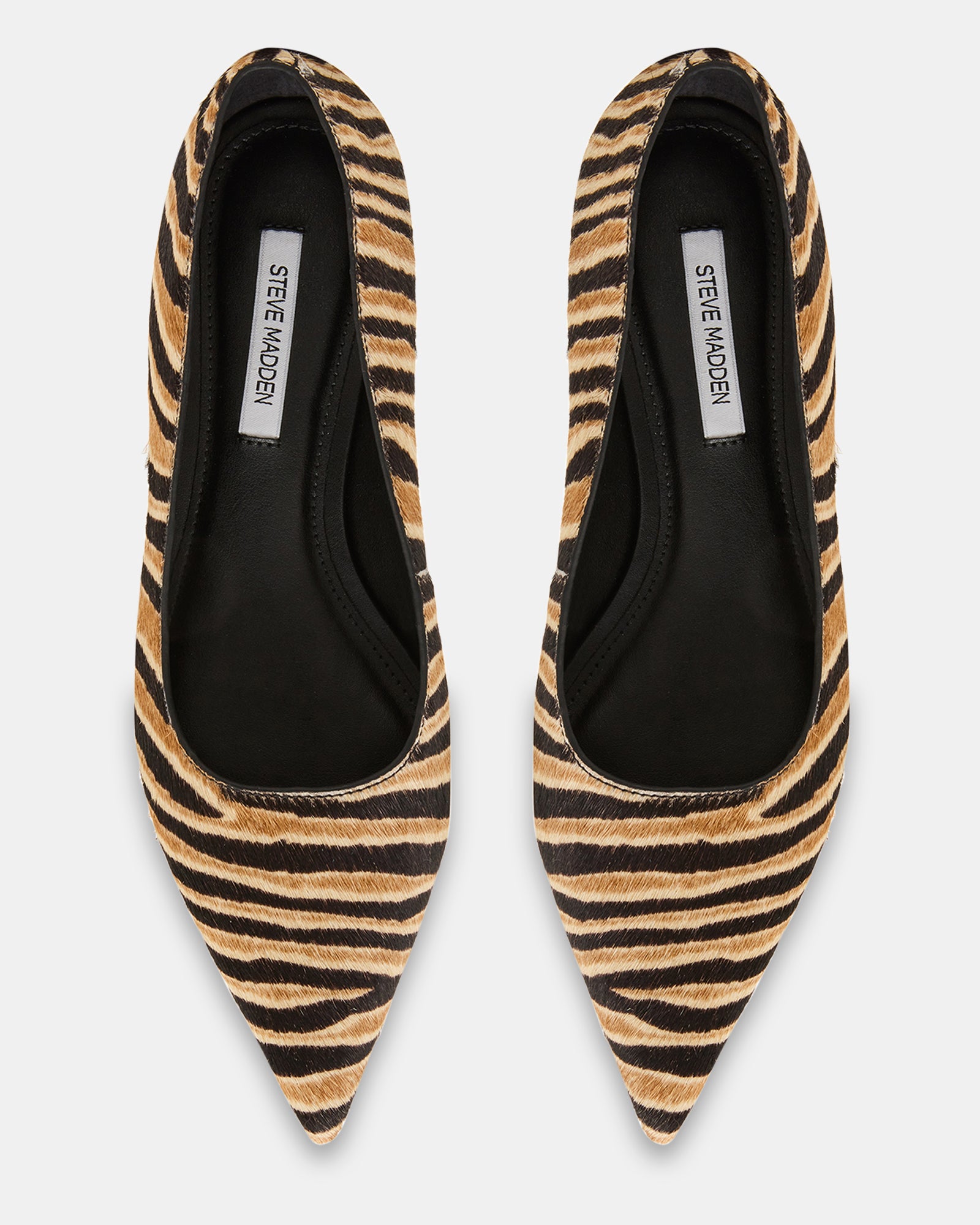 ARDYN-H TIGER - Women's Shoes - Steve Madden Canada - view 4