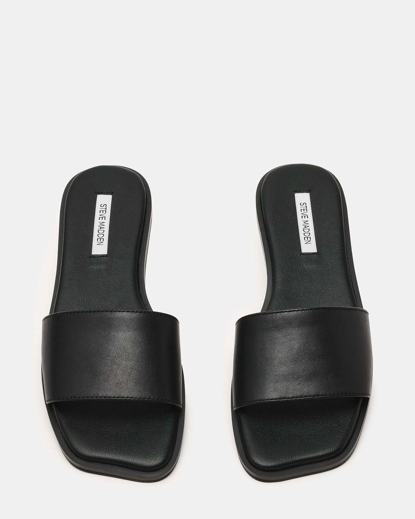 AVRA BLACK LEATHER - Women's Shoes - Steve Madden Canada - view 5