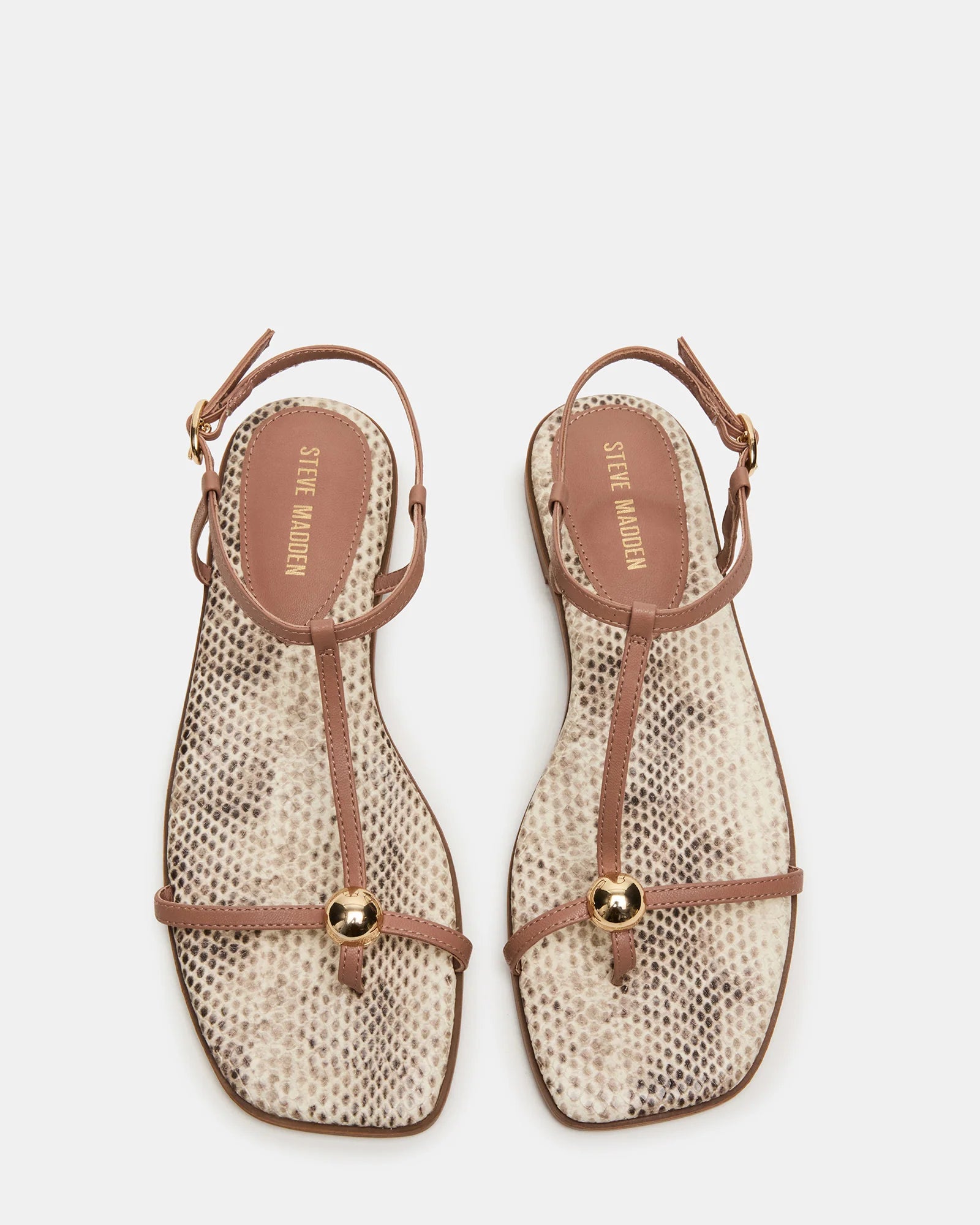 RITZY SNAKE - Women's Shoes - Steve Madden Canada - view 5