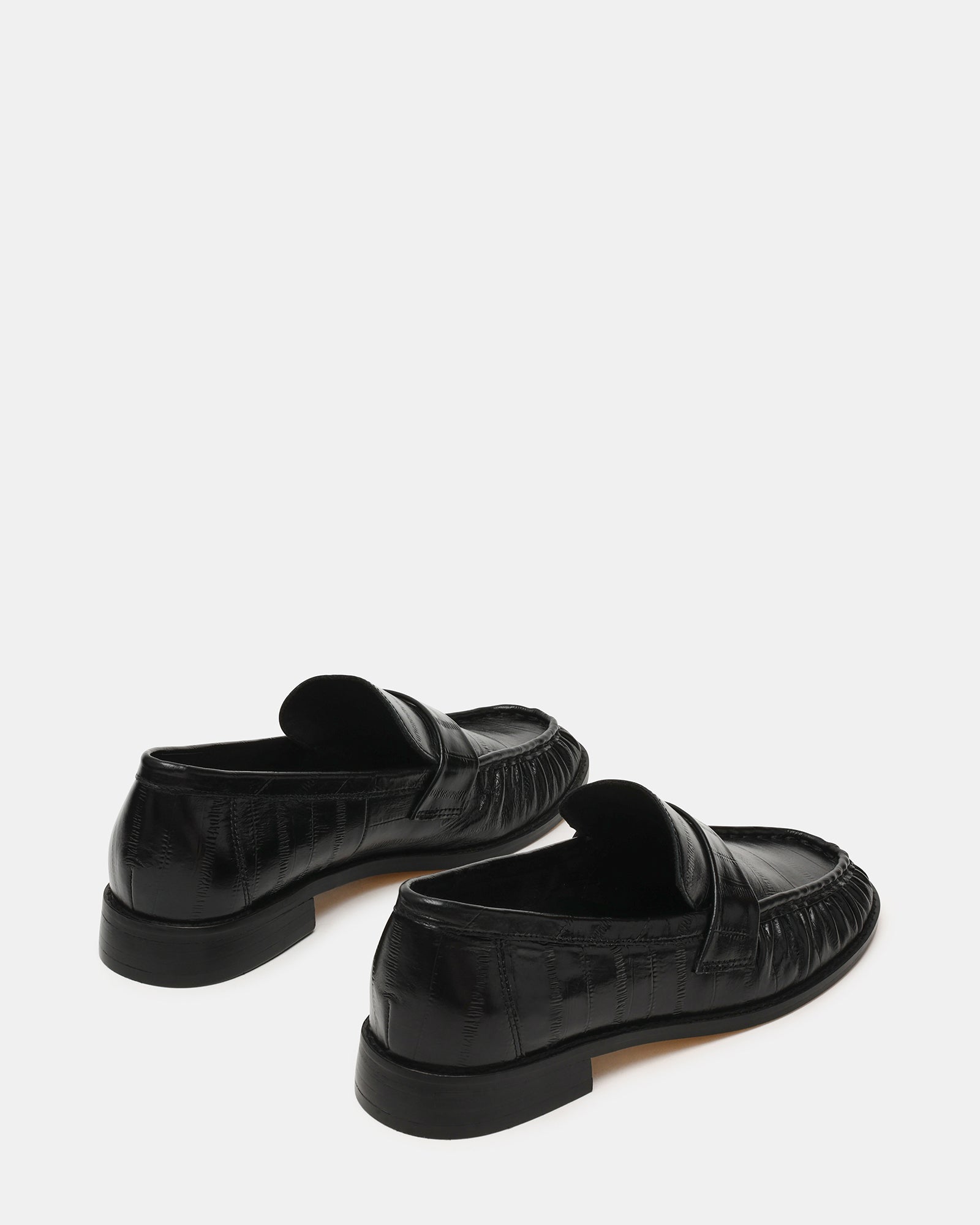 RONIE BLACK EXOTIC - Women's Shoes - Steve Madden Canada - view 5