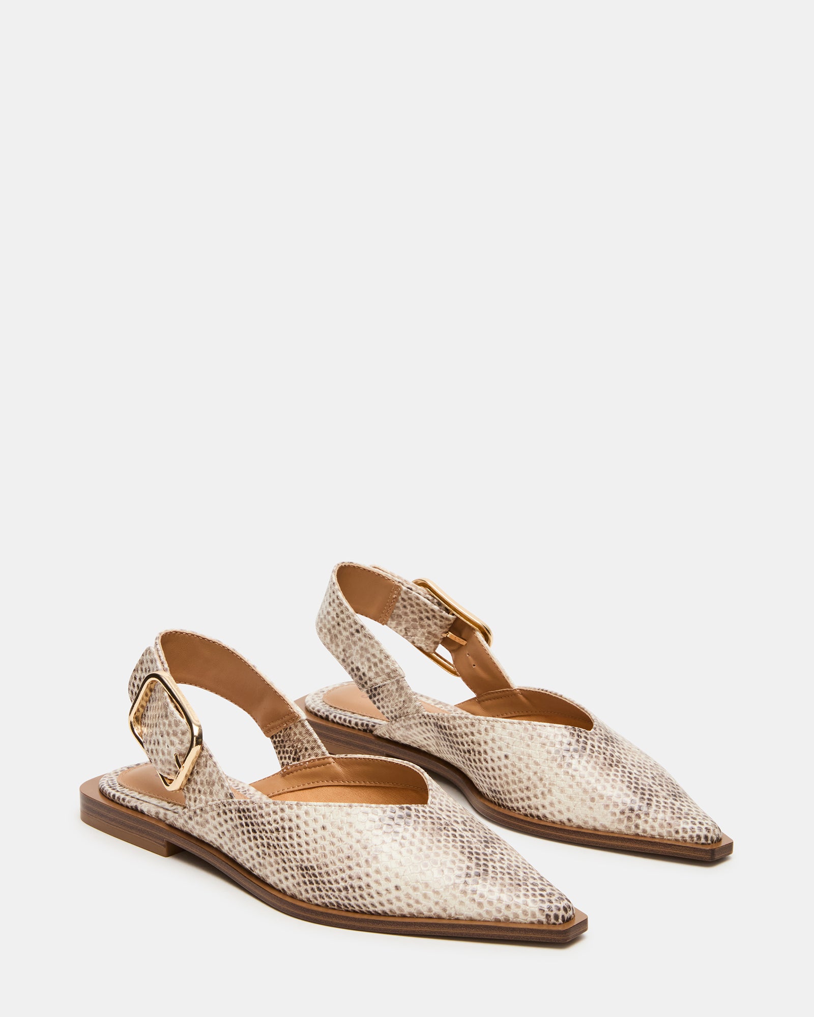 SHAY SNAKE - Women's Shoes - Steve Madden Canada - view 2
