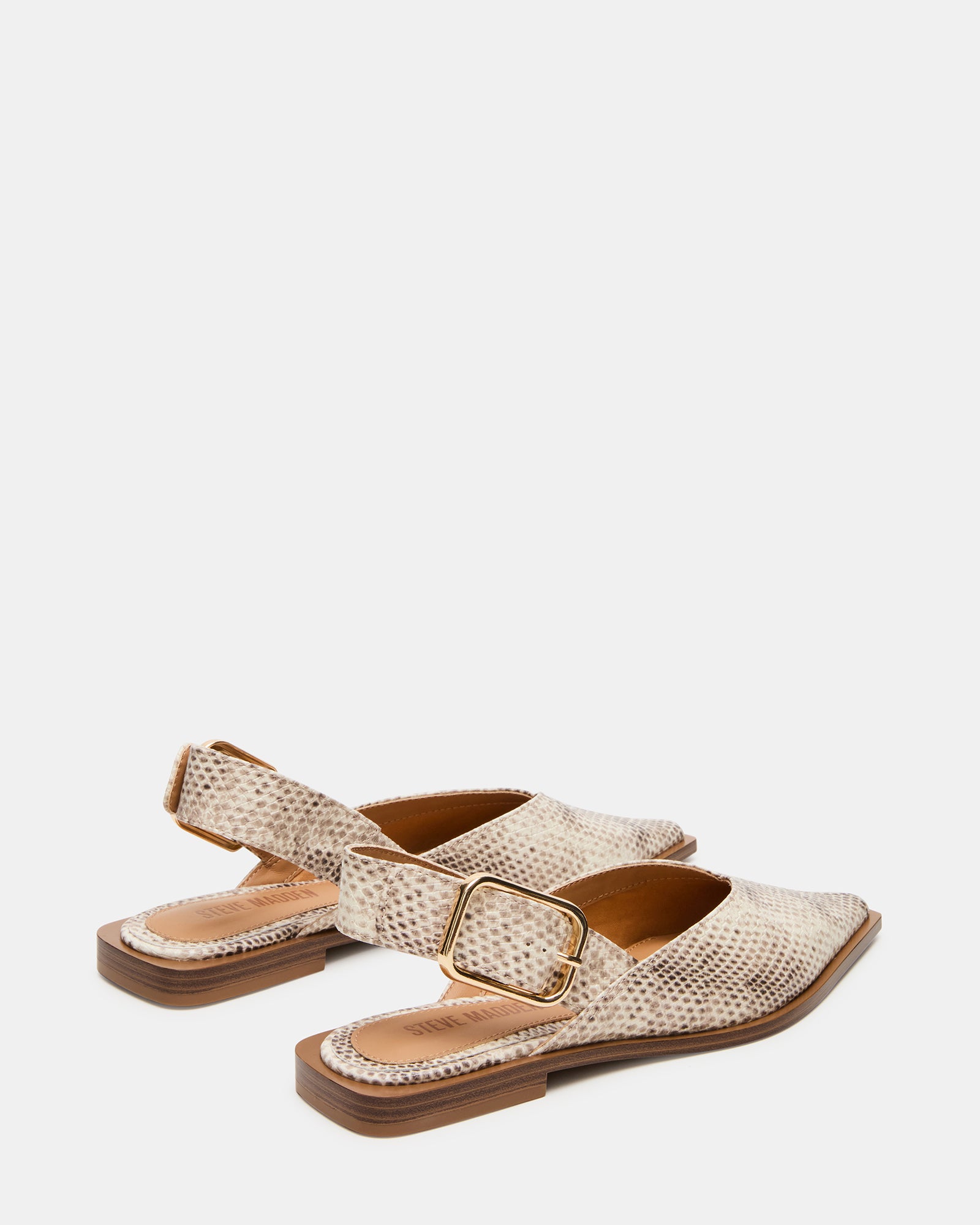 SHAY SNAKE - Women's Shoes - Steve Madden Canada - view 5