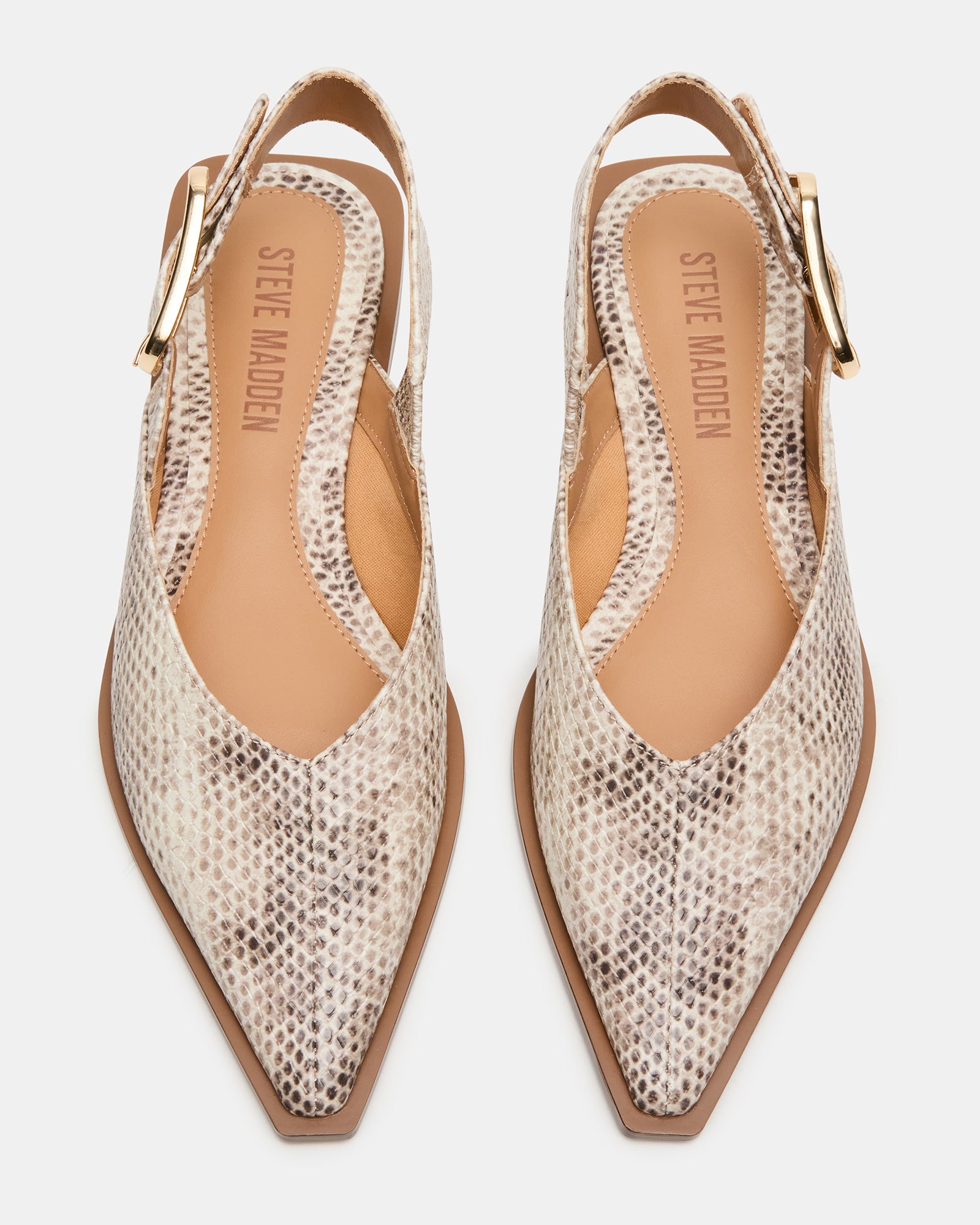 SHAY SNAKE - Women's Shoes - Steve Madden Canada - view 4