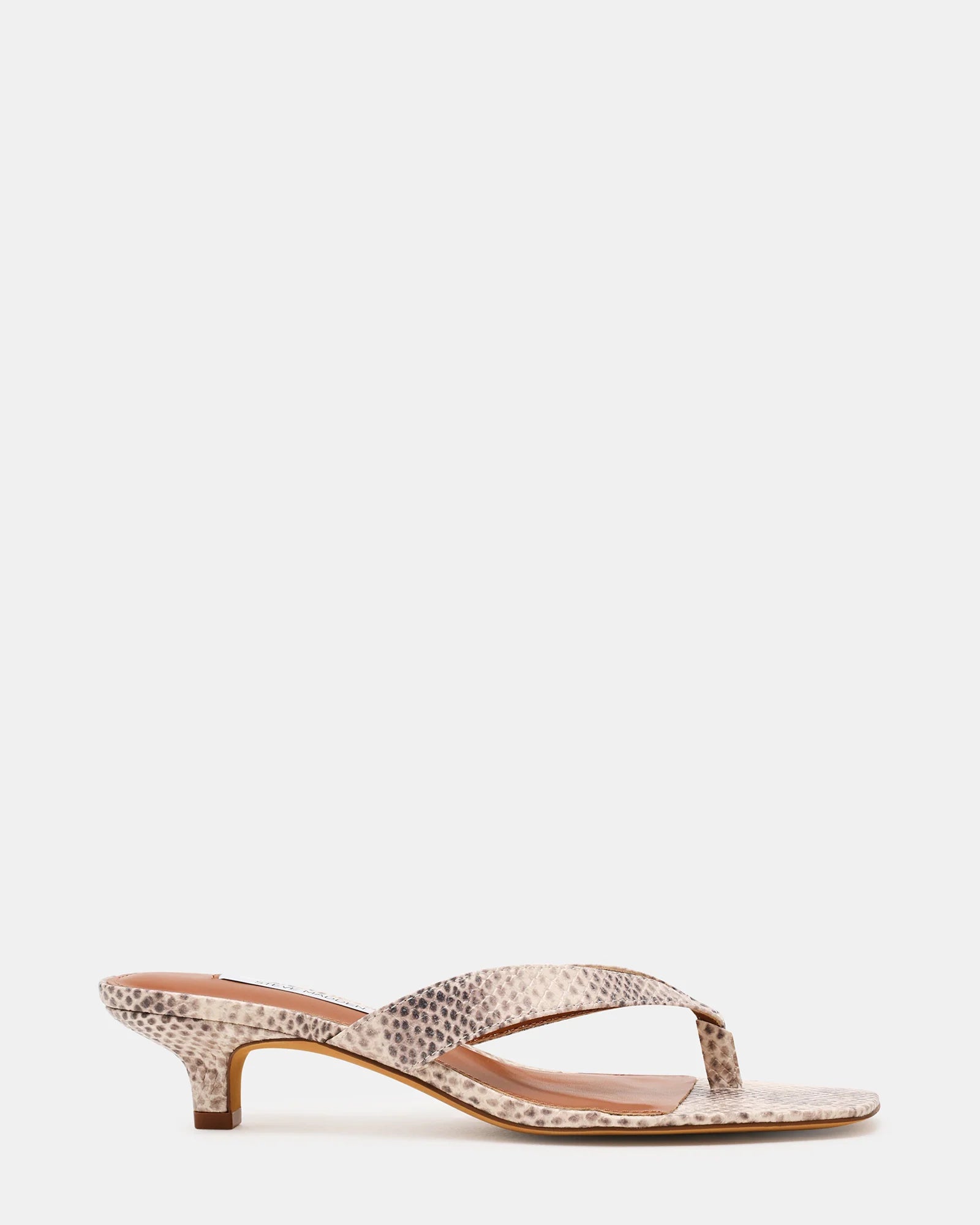 TRACIE SNAKE - Women's Shoes - Steve Madden Canada