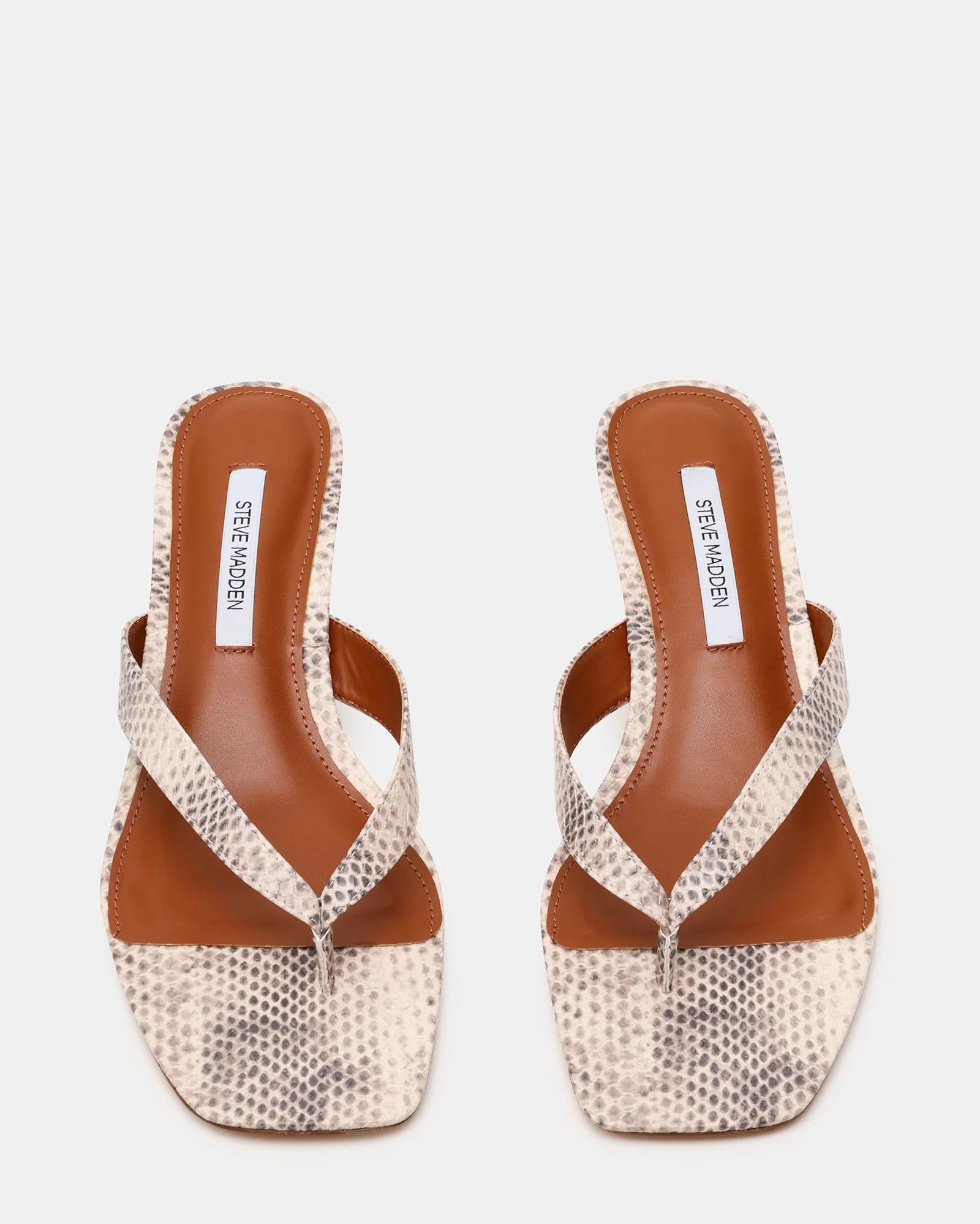 TRACIE SNAKE - Women's Shoes - Steve Madden Canada - view 5