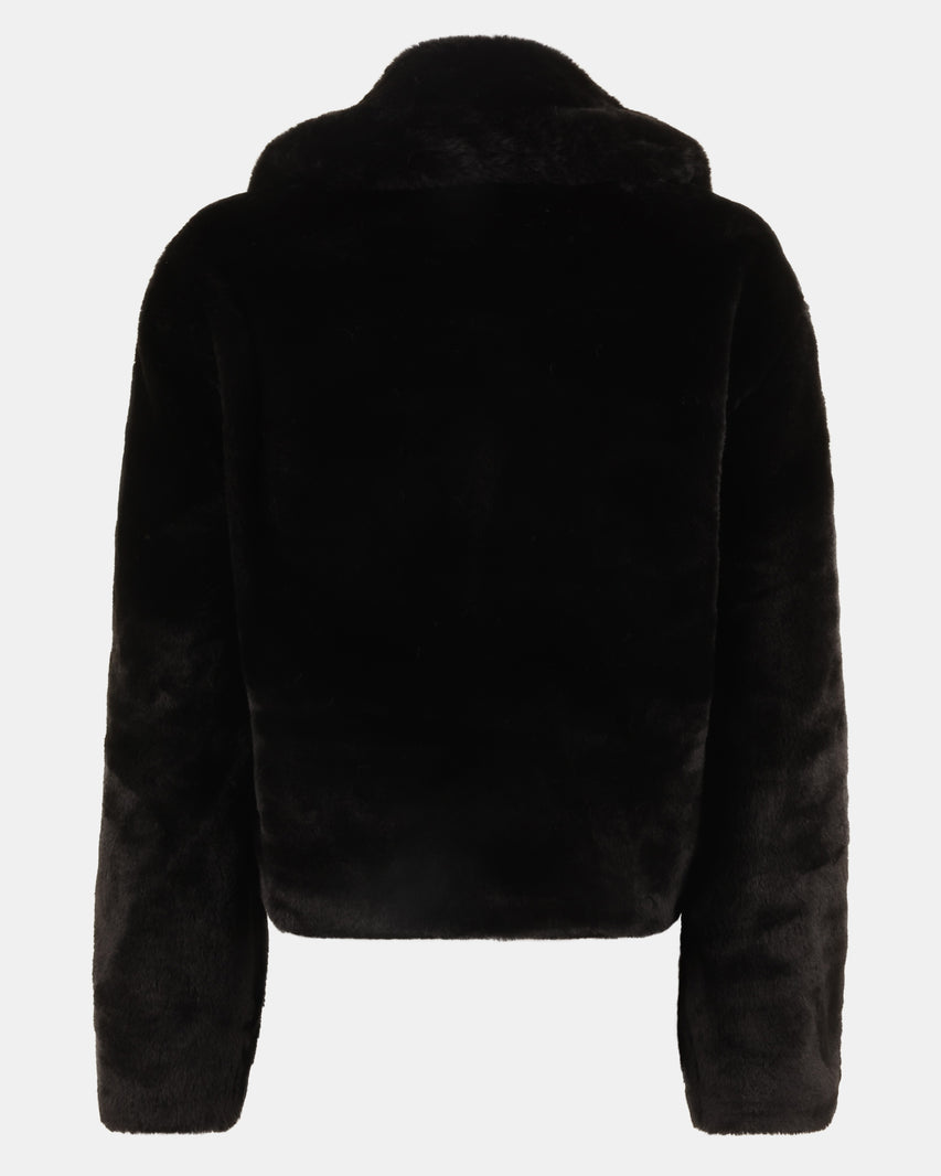 BROOK JACKET BLACK - Clothing - Steve Madden Canada - view 3