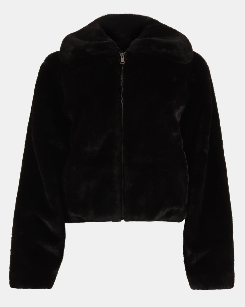 BROOK JACKET BLACK - Clothing - Steve Madden Canada