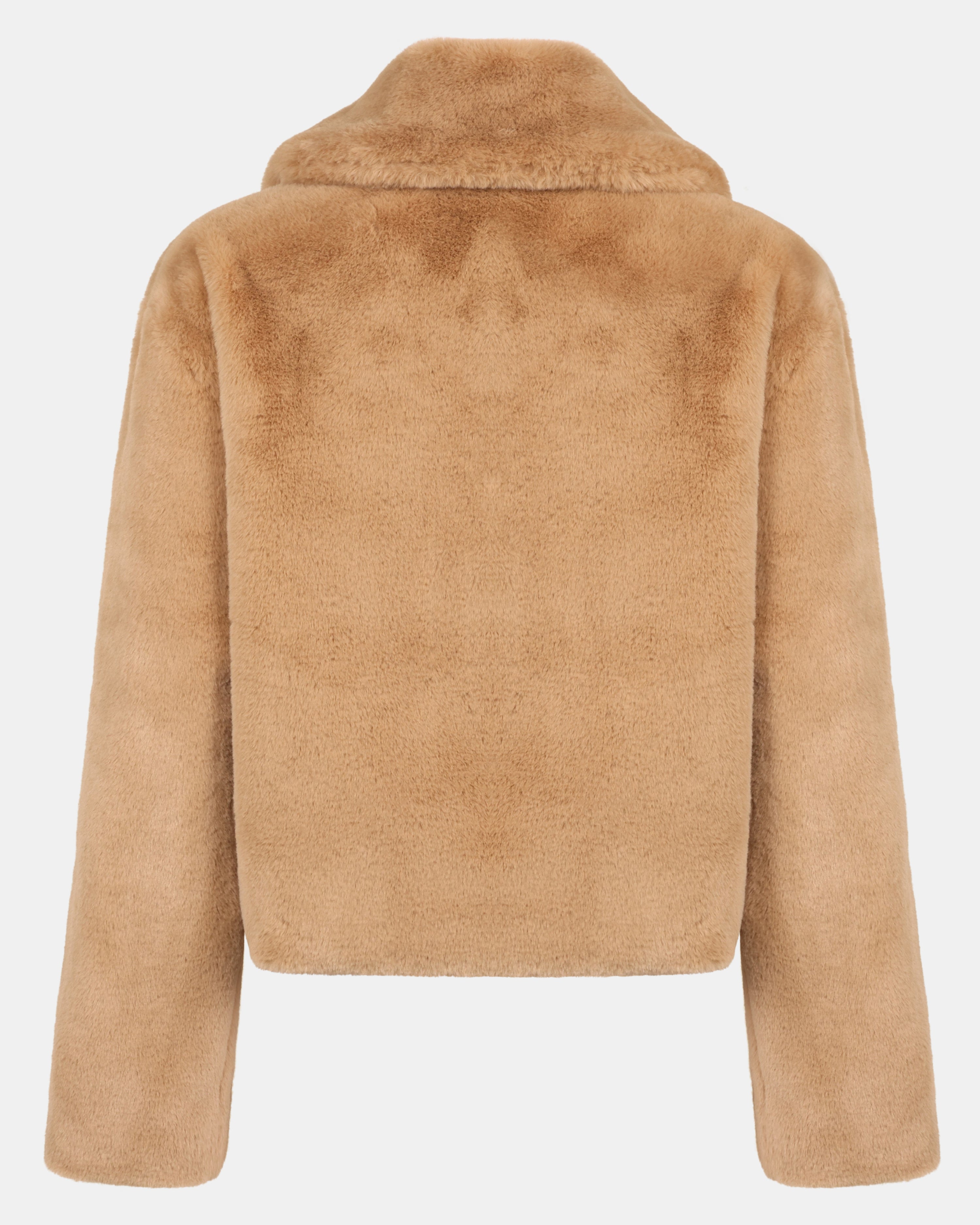 BROOK JACKET CAMEL - Clothing - Steve Madden Canada - view 3