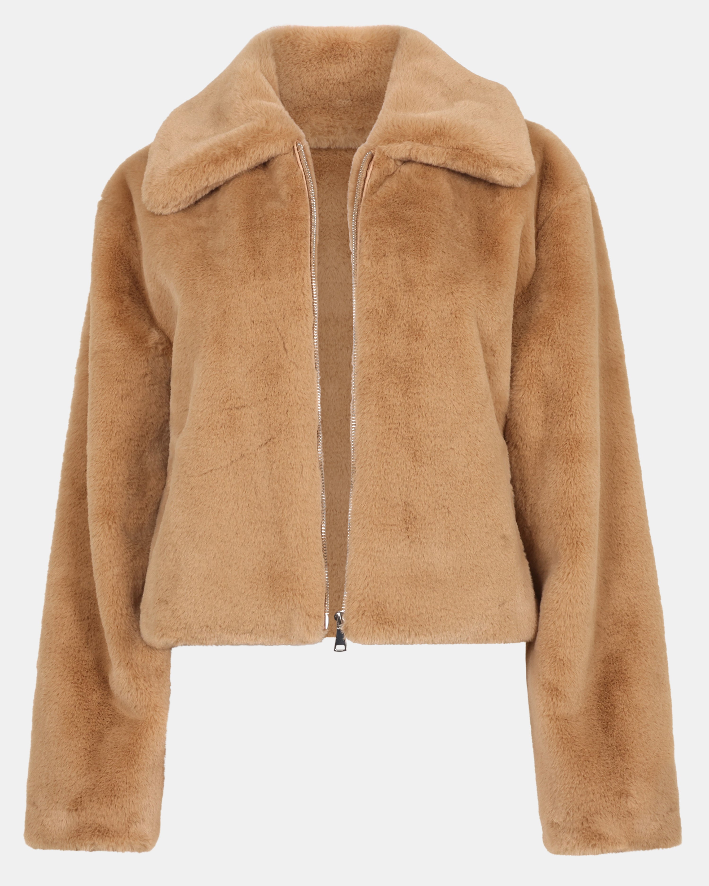 BROOK JACKET CAMEL - Clothing - Steve Madden Canada - view 2