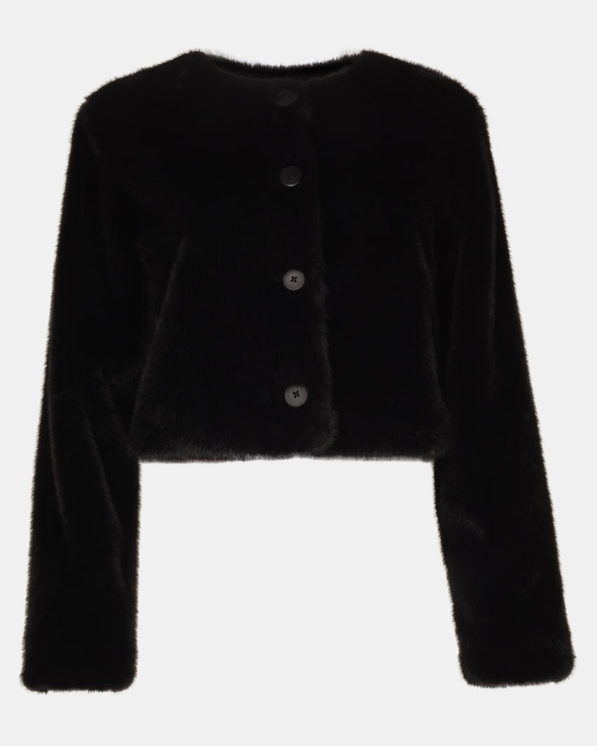 JOEY JACKET BLACK - Clothing - Steve Madden Canada