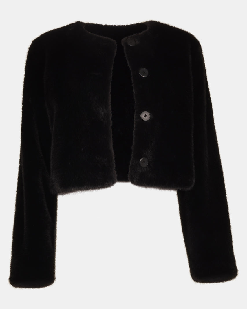 JOEY JACKET BLACK - Clothing - Steve Madden Canada - view 2
