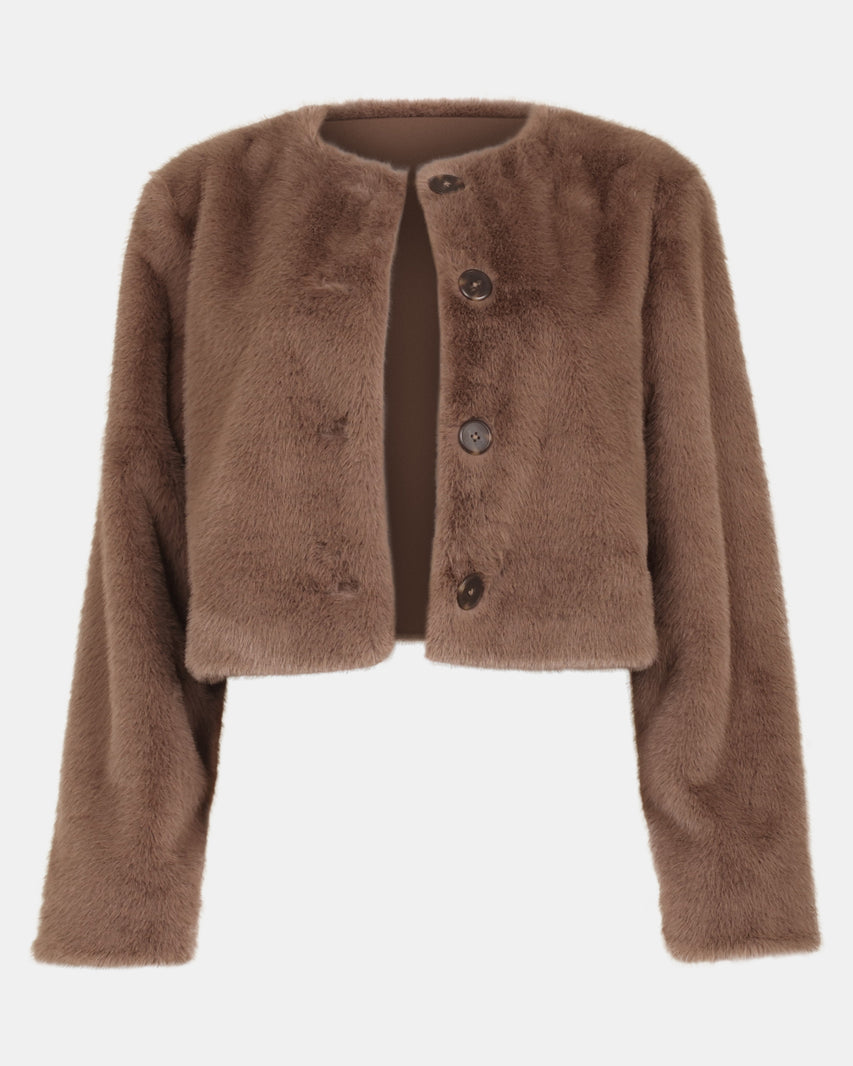 JOEY JACKET MOCHA - Clothing - Steve Madden Canada - view 2