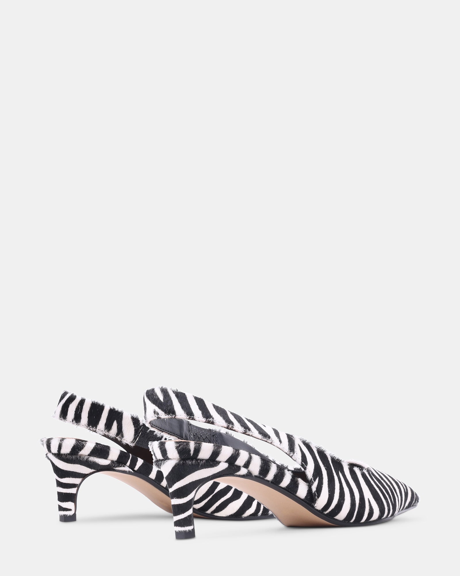 CARMEN ZEBRA - Women's Shoes - Steve Madden Canada - view 6