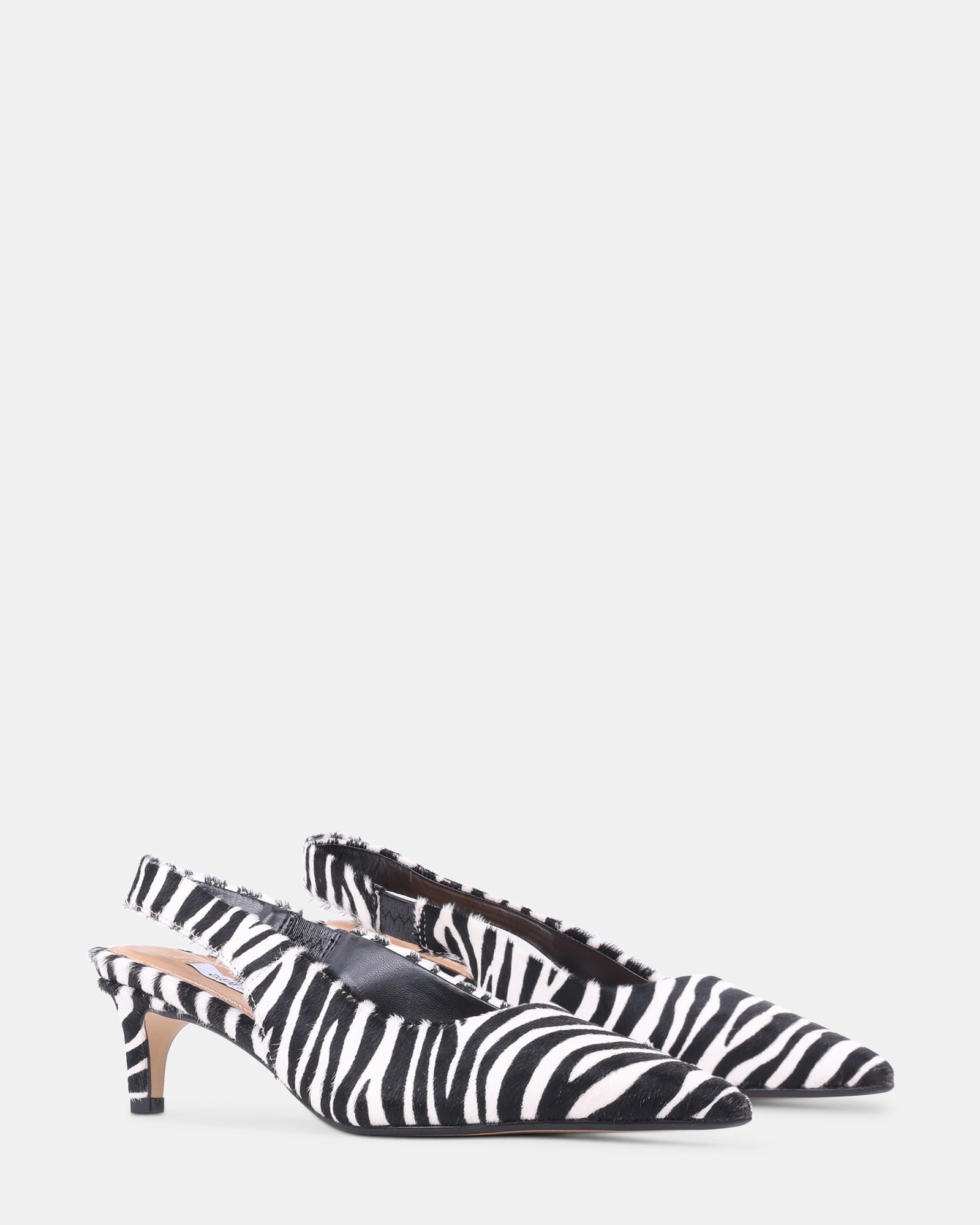 CARMEN ZEBRA - Women's Shoes - Steve Madden Canada - view 2