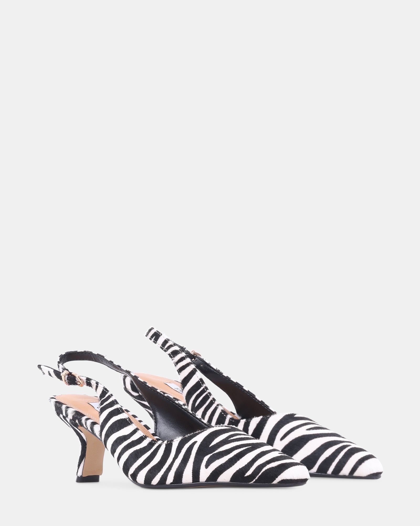 CHARMING ZEBRA - Women's Shoes - Steve Madden Canada - view 3
