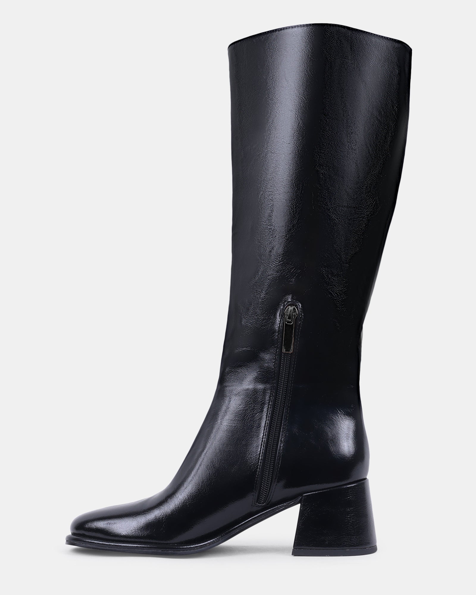 COMMON BLACK - view 3