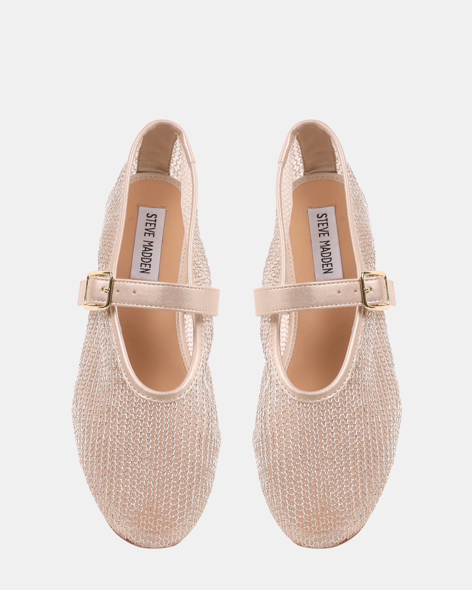 DREAMING GOLD - Women's Shoes - Steve Madden Canada