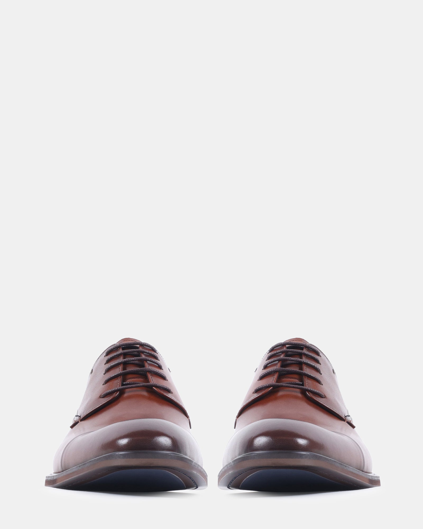 VANDER TAN LEATHER - Men's Shoes - Steve Madden Canada - view 3