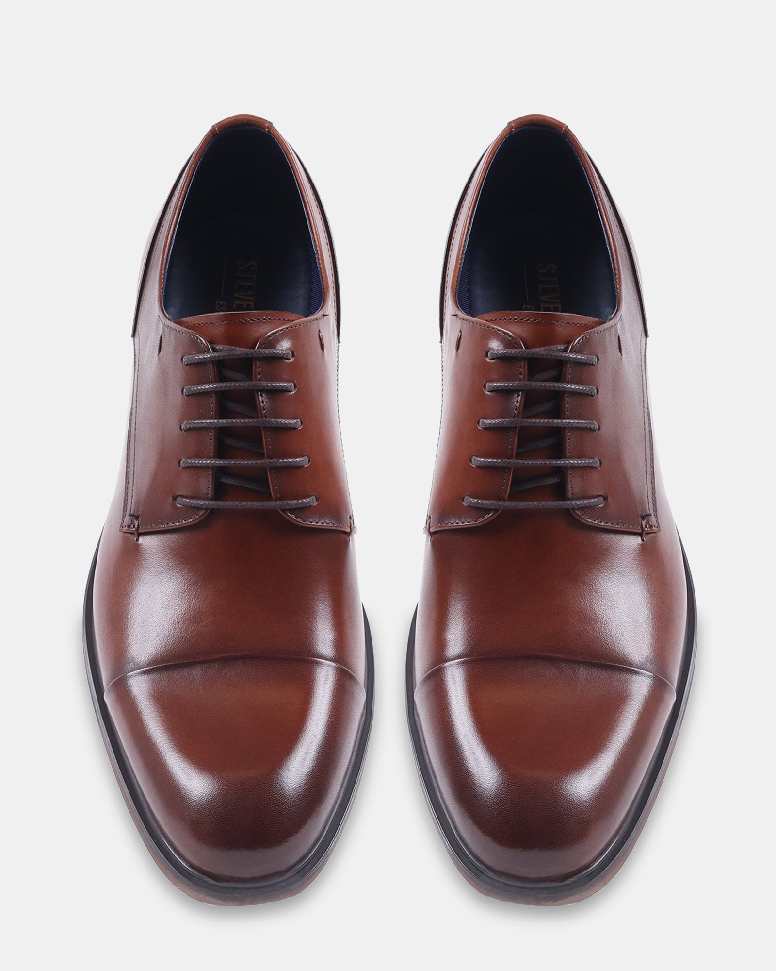 VANDER TAN LEATHER - Men's Shoes - Steve Madden Canada - view 4