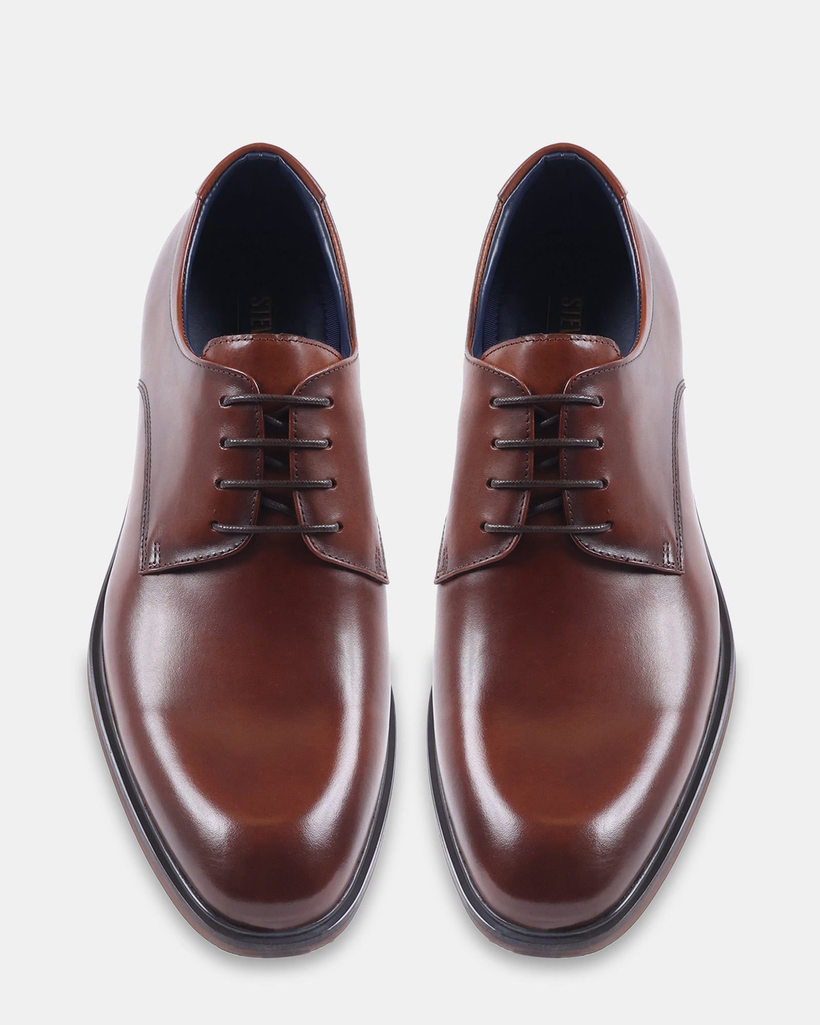 VICTOR TAN LEATHER - Men's Shoes - Steve Madden Canada - view 5